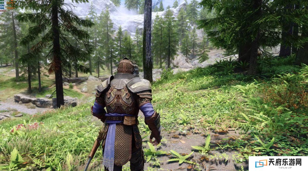 RTX 5090运行装3500多个MOD的《上古卷轴5》效果
