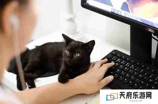 电脑录音操作方法详解，记录美好声音！